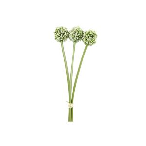 Allium κρεμ  Χ3 55εκ. 013.807435