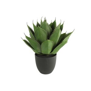 Αλόη σε κασπώ Φ45Η57cm 013.768200