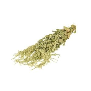 Αμάρανθος αποξ. φυσικό Η60cm 012.101823000