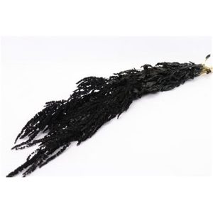 Αμάρανθος αποξ. Πράσινο σκ. Η80cm 012.312101530