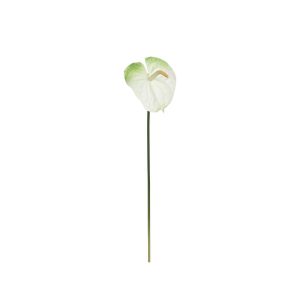 Ανθούριο λευκό κλαδί 75εκ. 02.1047979