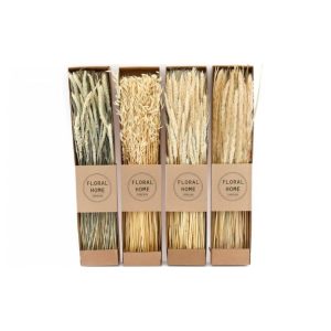 Αποξηραμένο μάτσο 200γρ /60εκ. /4σχ. 014.FL1188