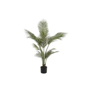 Αρέκα σε κασπώ 55x153εκ. 013.827414