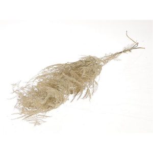 Asparagus φυσικό Η90cm 012.312312058