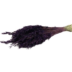 Avena 250gr μωβ 012.100016043