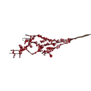 Berry κλαδί κόκκ. σ/5 012.650117381