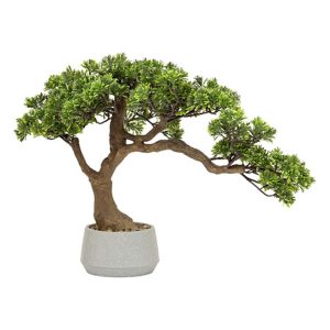 Bonsai σε κασπώ 45 x32 x 60 cm 07.206548