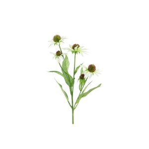 Εχινάτσια κλαδί ασπρη 70εκ. 013.811234