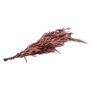 Ευκάλυπτος presserved 150gr κόκκινο 012.311901076