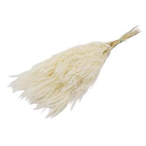 Φτέρη φυσικό Η70cm 012.312101476