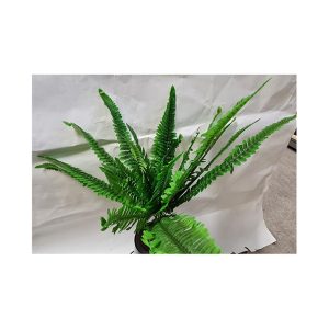 Φτέρη κρεμαστή 00.17.22079