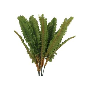 Φτέρη ρίζα 43εκ. 00.04.40030