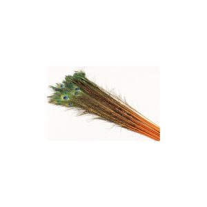 Φτερό παγωνιού πορτοκαλί 90-100εκ. 012.410022197