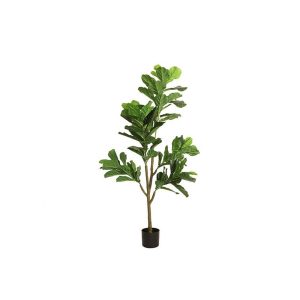 Φύκος σε κασπώ 174cm 013.780825