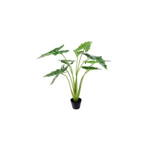 Φύκος σε κασπώ Η120cm 013.804928