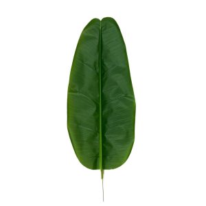 ΦYΛΛO MΠANANIAΣ 88 EK. 00.17.25073