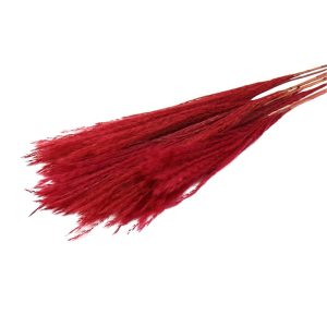 PAMPAS FLUFFY 10pc RED 012.312100020