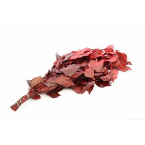 Φυλλωματα presserved 150gr 012.311901071