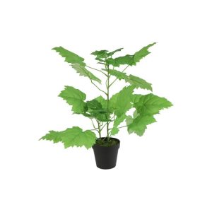 Φυτό Σπαρμάννια αφρικανική πράσινη D43H55cm 013.807776