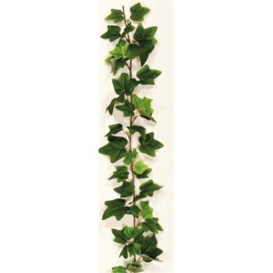 ΓIPΛANTA KIΣΣOΣ ΠPAΣINOΣ 220EK. 00.17.25132