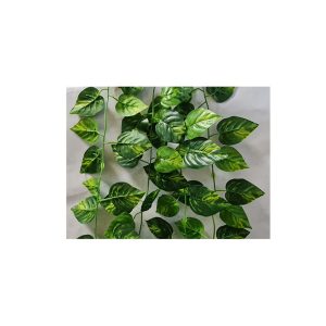 ΓIPΛANTA ΠOΘOΣ 1.90M 00.17.39006