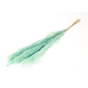 Gynerium κλαδί  βεραμάν 5τμχ Η120cm 012.312308003