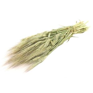 HORDEUM στάχυ-μουστάκι 250GR NATURAL 012.100161000