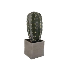 Κάκτος σε κασπώ 21εκ. 00.04.40002
