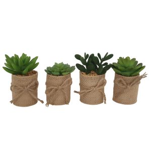 Κάκτος σε κασπώ λινάτσας 9-17εκ. 4σχ. 00.04.40032