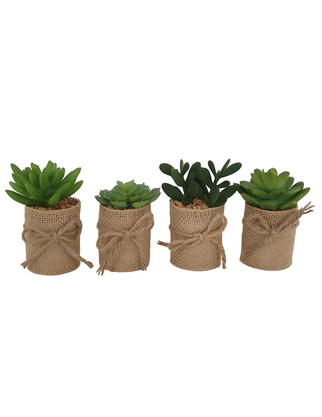 Κάκτος σε κασπώ λινάτσας 9-17εκ. 4σχ. 00.04.40032