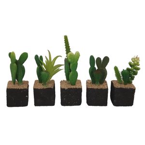 Κάκτοι mini σε μαύρο βάση  10-13εκ. 6σχ. 00.04.40009