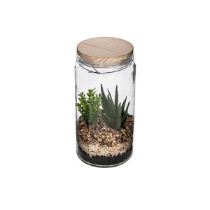 Κάκτοι σε γυαλ.terrarium 2σχ.11X22 07.160015