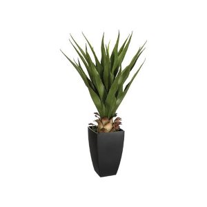 Κάκτος σε κασπώ 73εκ. 07.103165