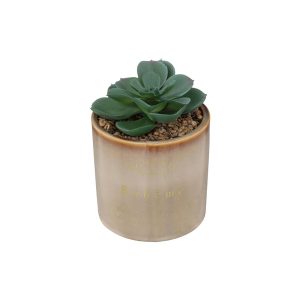 Κάκτος σε κασπώ κεραμικό Φ9