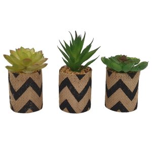 Κάκτος σε κασπώ ριγέ λινάτσας 9-12εκ. 3σχ. 00.04.40033