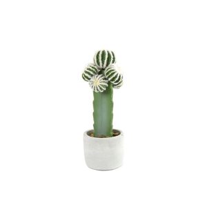 Κάκτος σε κεραμ.κασπώ 31εκ. 013.771140