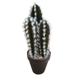 Κάκτος τριπλός σε κασπώ 28εκ. 00.04.40040