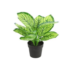 Καλαθέα σε κασπώ 28εκ. 013.775780