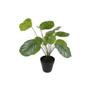 Καλαθέα σε κασπώ 34x44εκ. 013.827426