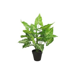 Καλαθέα σε κασπώ 45εκ. 013.780847