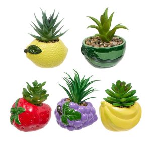 Κασπώ φρούτα με φυτό 11x10x9cm 07.214065