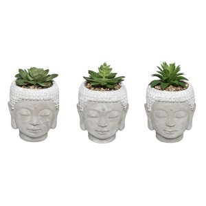 Κασπώ κεραμ.Βούδας με πρασινάδα 13