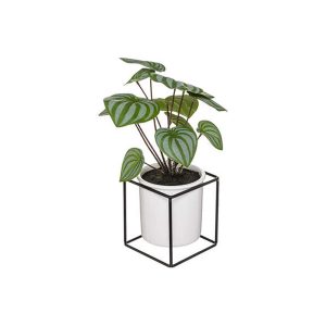 Κασπώ κεραμ.με πρασινάδα 20Χ32 07.185459