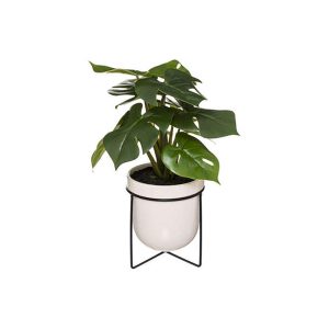 Κασπώ κεραμ.με πρασινάδα 23Χ33 07.185460