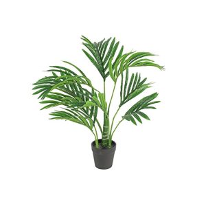 Κέντια πρασινάδα σε κασπώ 50εκ. 013.780793