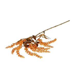 Κλαδί "Berry Jungle" H72cm 012.852502180