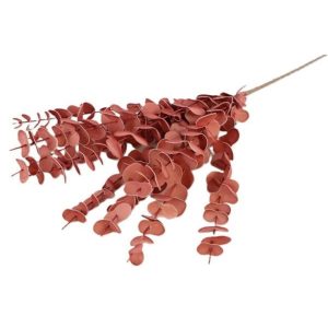 Κλαδί ευκάλυπτος ροζ αντικέ 012.862192011