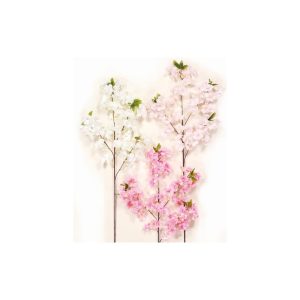 KΛAΔI KEPAΣIA 95EK.  3χρ. 00.17.22140