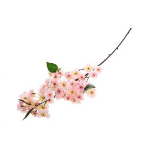 Κλαδί κερασιά ροζ Η87cm 012.862591015