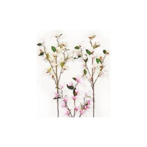 KΛAΔI MANΩΛIA 95cm 00.17.38008